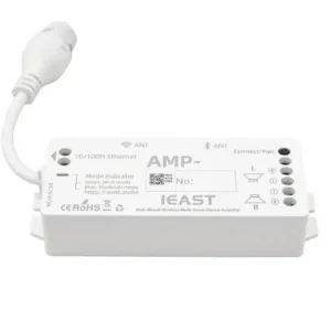 Amplificateur Streaming IEAST AMP10