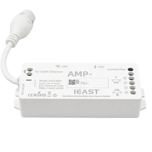 Amplificateur Streaming IEAST AMP10