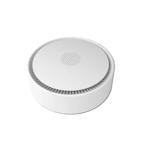 Passerelle de Protocole RF vers TUYA EBELONG ECH103 — Hub Intelligent
